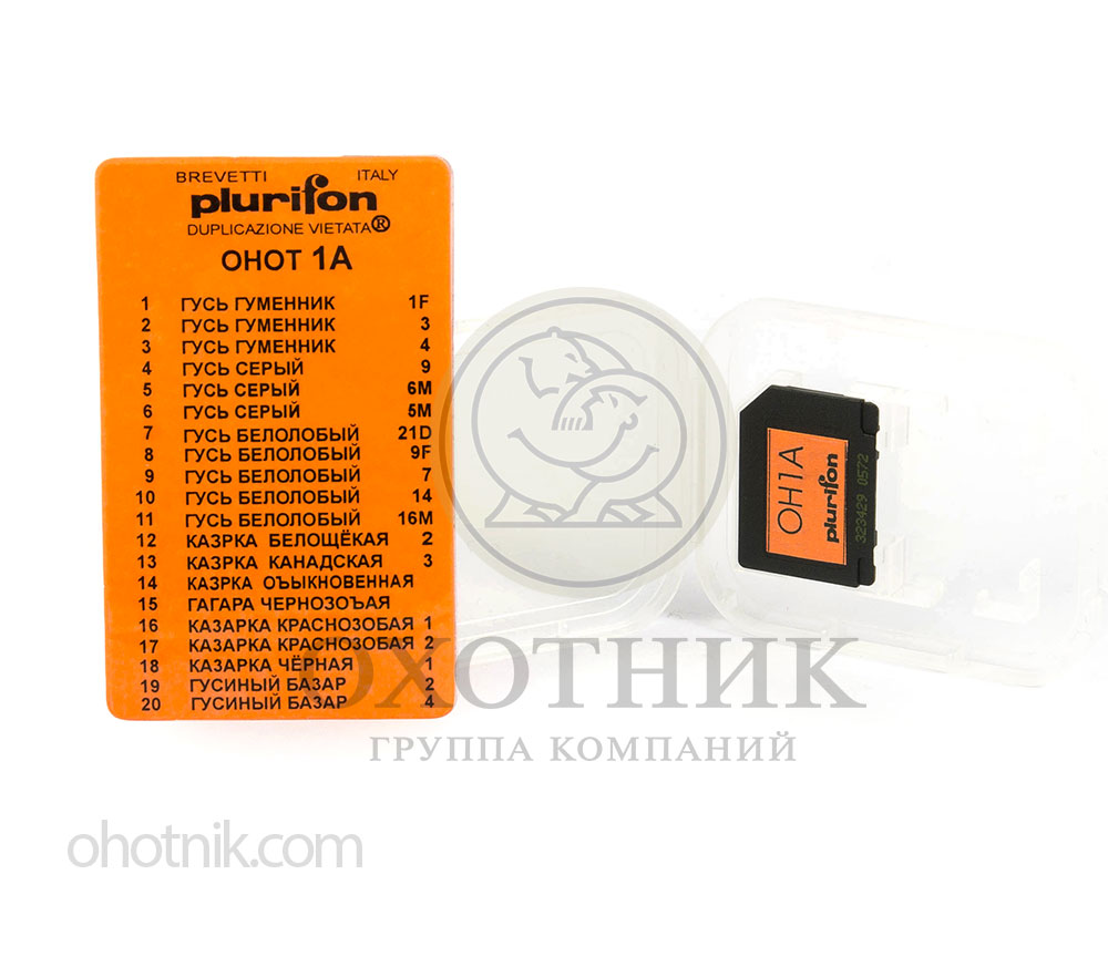 КАРТА ПАМЯТИ PLURIFON MICRO-CARD, 20 ГОЛОСОВ (ГУСИ) купить в Москве по цене  30 750 руб. в интернет-магазине «Охотник»