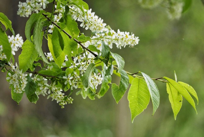 График работы магазинов с 1 по 11 мая