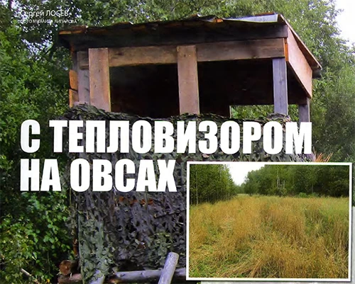 С тепловизором на овсах