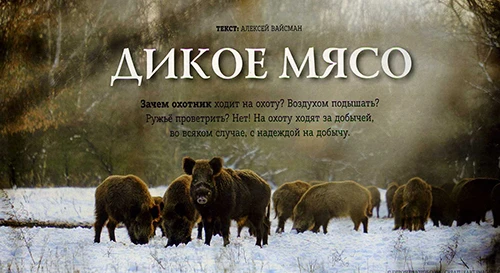 ДИКОЕ МЯСО