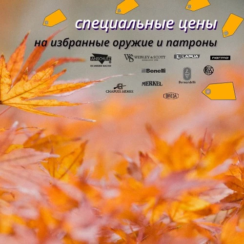 Специальные цены на избранные оружие и патроны