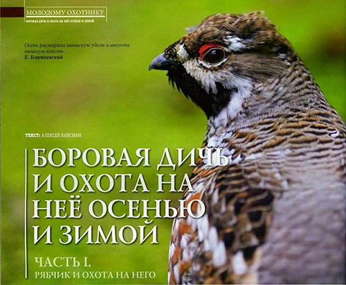 Боровая дичь и охота на нее осенью и зимой