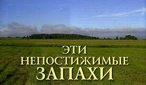 Эти непостижимые ЗАПАХИ