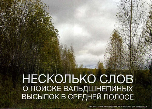 Несколько слов о поиске вальдшнепиных высыпок в средней полосе
