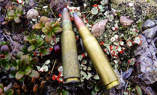 ЗАЧЕМ ИХ ТАК МНОГО?