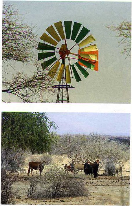 Африка2002.jpg